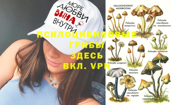 индика Кукмор