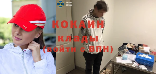 индика Кукмор