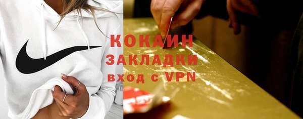 индика Кукмор