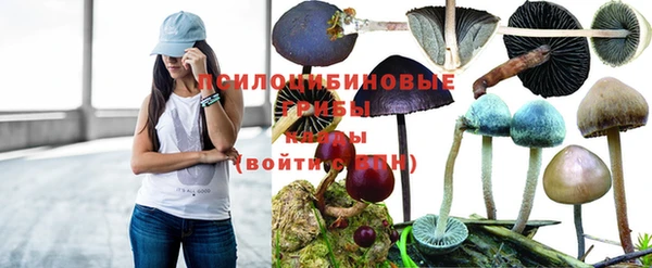 индика Кукмор