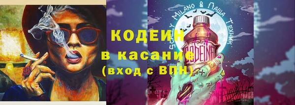 индика Кукмор