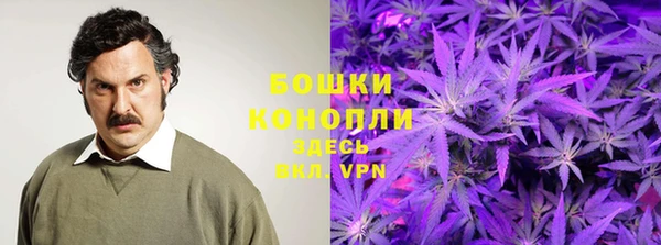 индика Кукмор