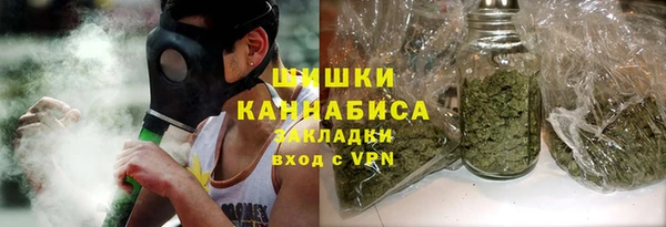индика Кукмор