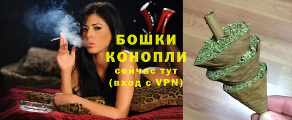 индика Кукмор